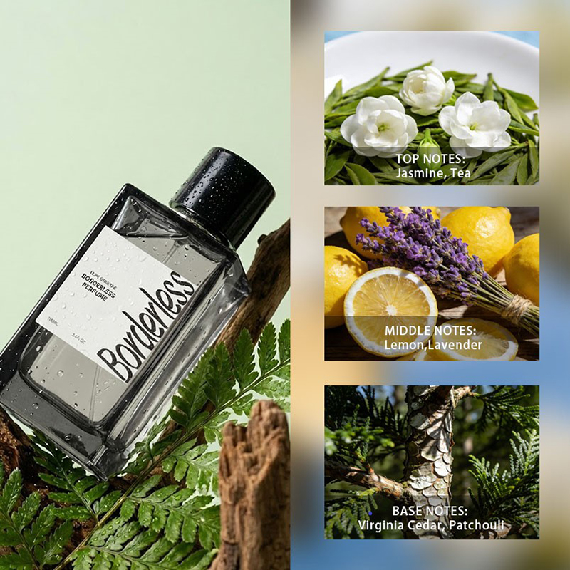 Luxury Borderless Men Perfume  - Perfume Fragrance Long Lasting recension och pris